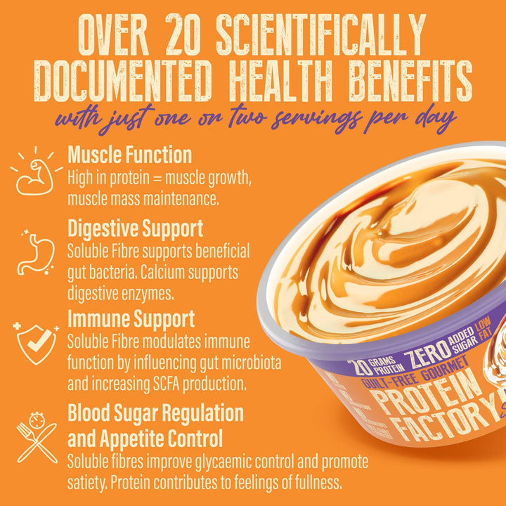 PROTEIN PUDDING - SALTED CARAMEL - 20G PROTEIN - 8X200G