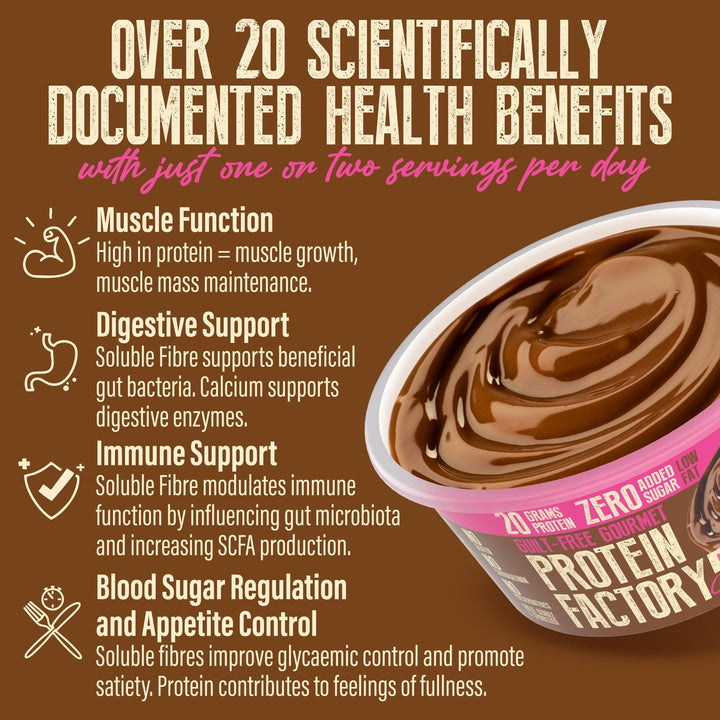 PROTEIN PUDDING - CHOCOLATE - 20G PROTEIN - 8X200G